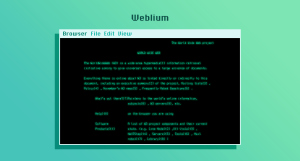 What was the first website in 1991?