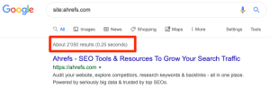 Google see my website?