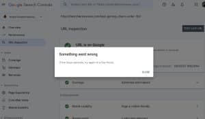 Can Google see my website?
