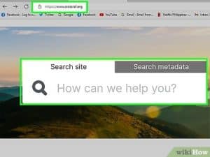 find the author and date of a website?
