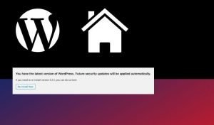 When do websites update themselves?