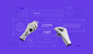 Choosing the Right Domain