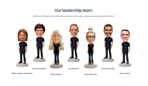 What is a website team?