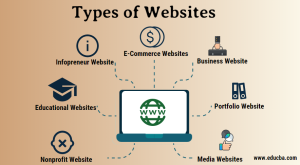 What type of website is most popular?
