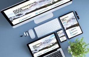 Bridging Boundaries: Professional Web Design