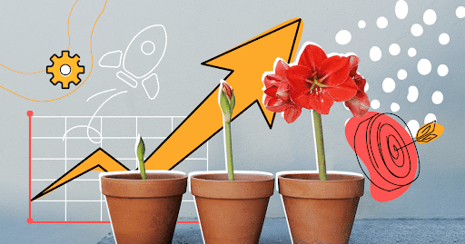 Website Development Costs