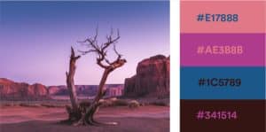 Mastering the Art of Bold Colors in Website Design