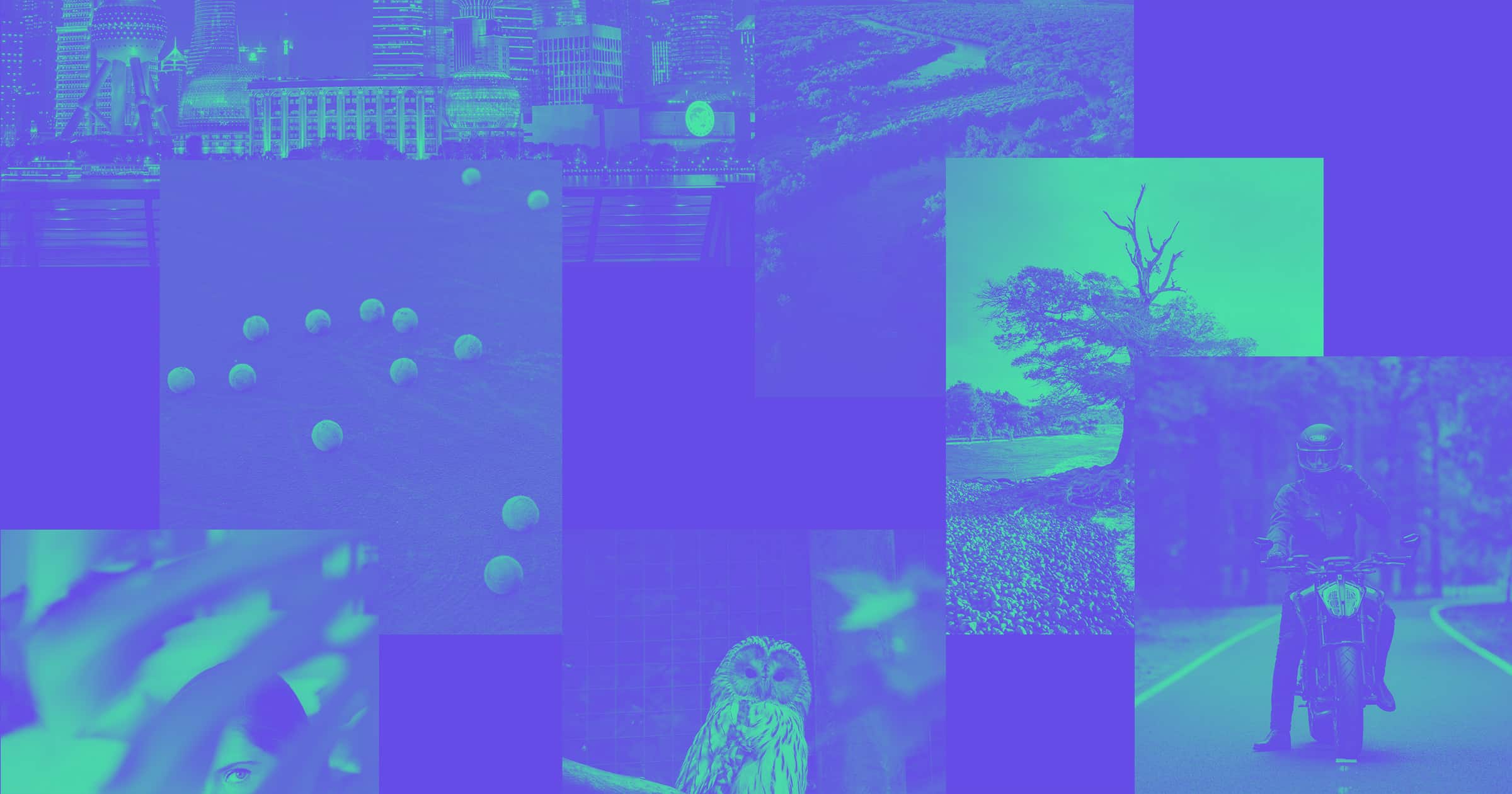 Website Design Alkimos
