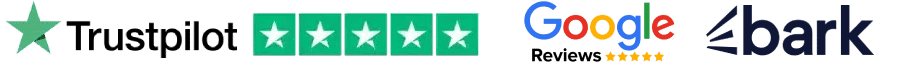 Diverse Website Design Reviews