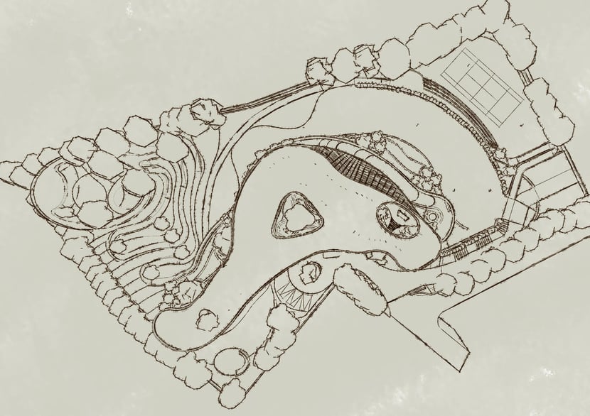 Organic Shapes and Fluid Layouts: Designing with Natural Flow