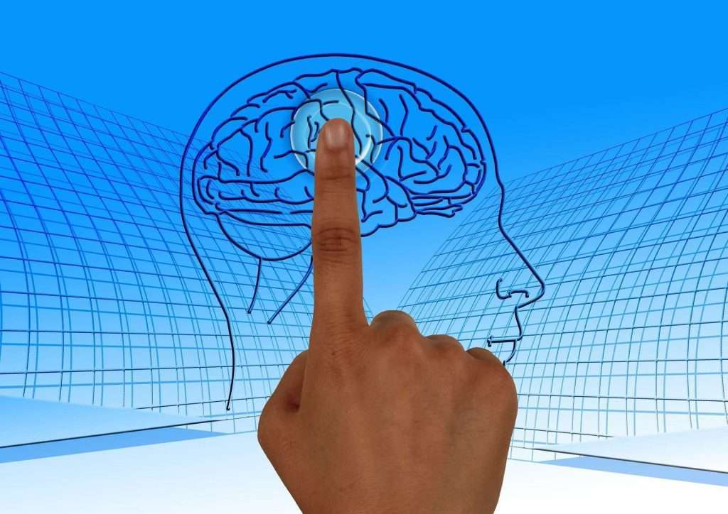 What Your Website Design Says to the Human Brain